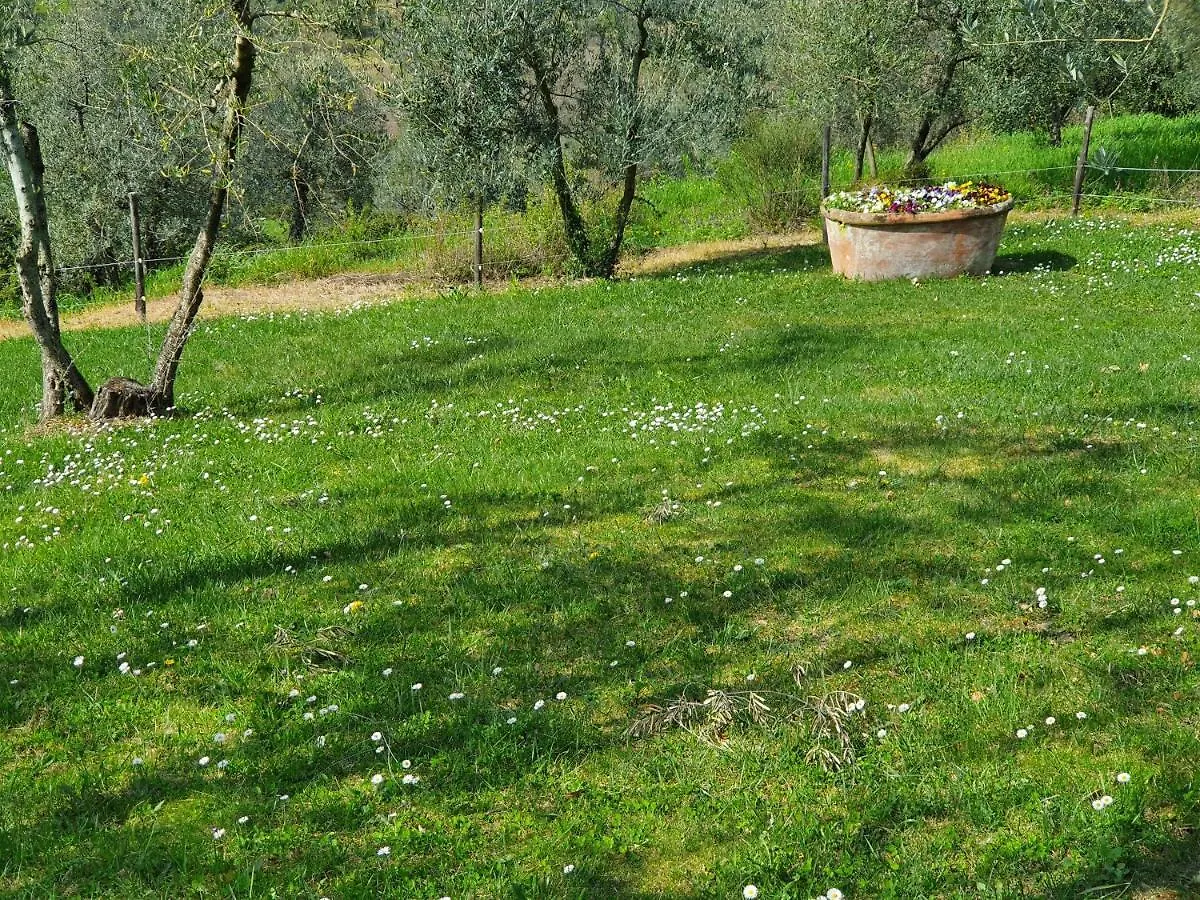 Residenza Il Colle Bed & Breakfast Impruneta